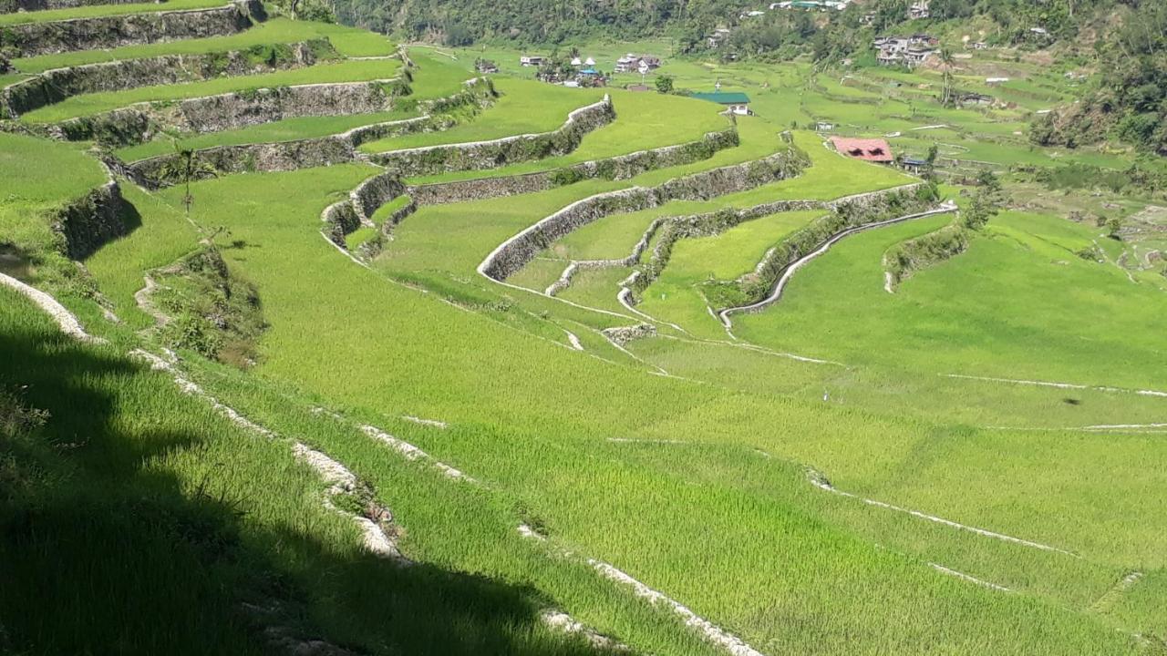 Baleh Boble Guesthouse Banaue Exterior foto