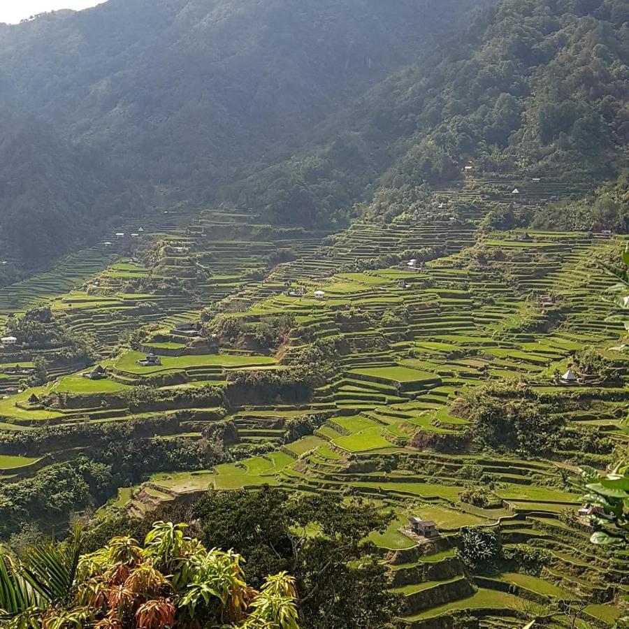 Baleh Boble Guesthouse Banaue Exterior foto