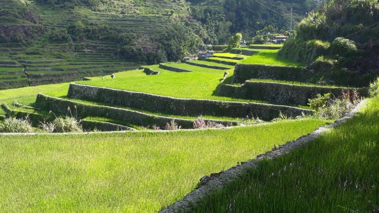 Baleh Boble Guesthouse Banaue Exterior foto